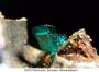 mineralien:mineralien2014:brochantit_237.jpg