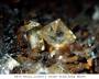 mineralien:mineralien2014:baryt_76.jpg