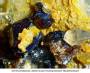 mineralien:mineralien2014:zinkbl_194.jpg
