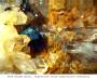 mineralien:mineralien2014:bergkupf_68.jpg
